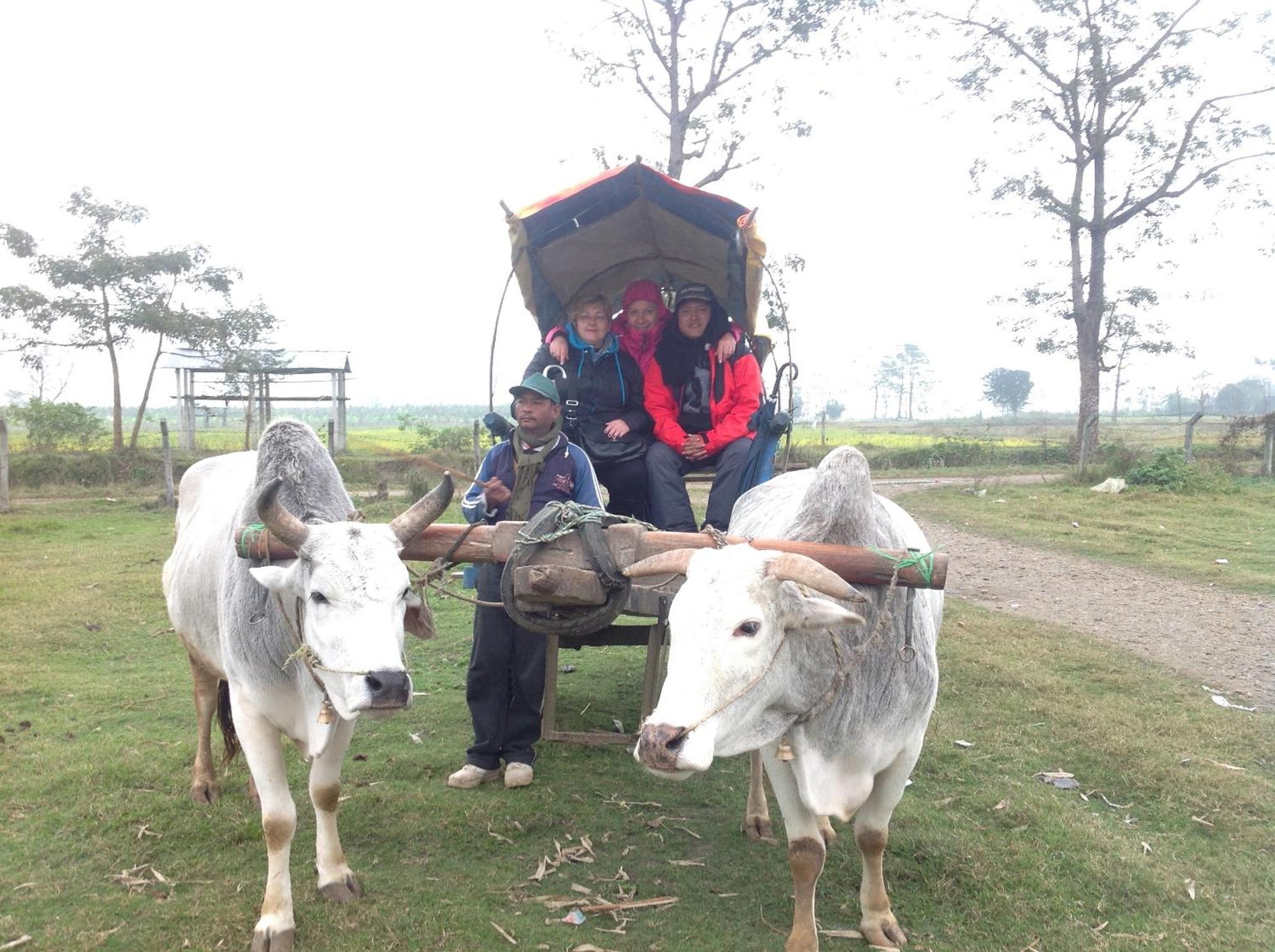 Lalitpur Everest Home Stay Apartment מראה חיצוני תמונה